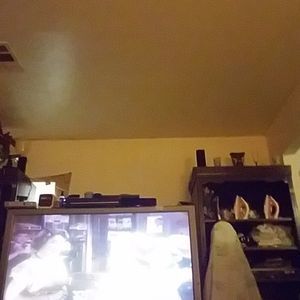 Meet your Posher, Rodney l.